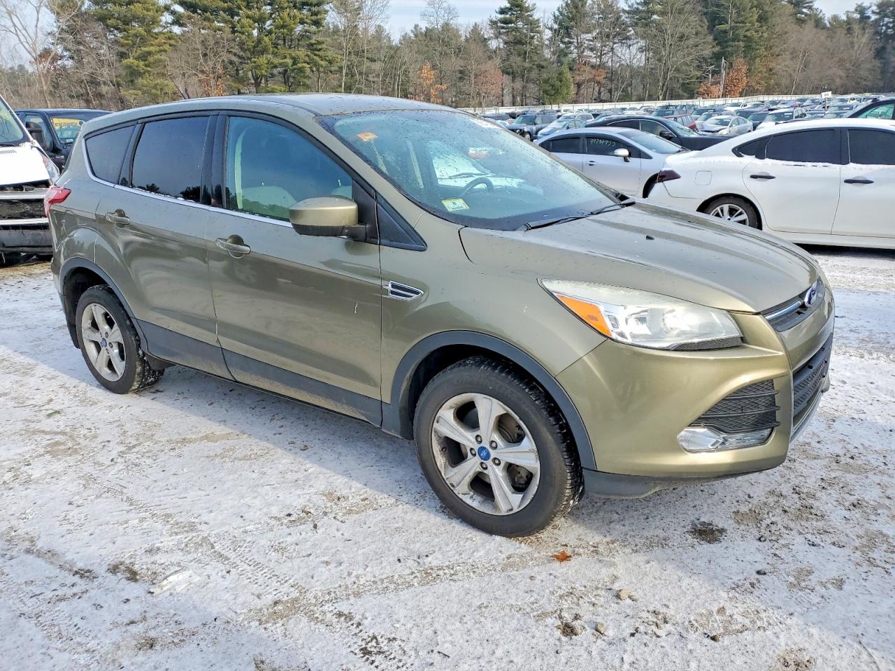 2013 FORD ESCAPE SE photo 4