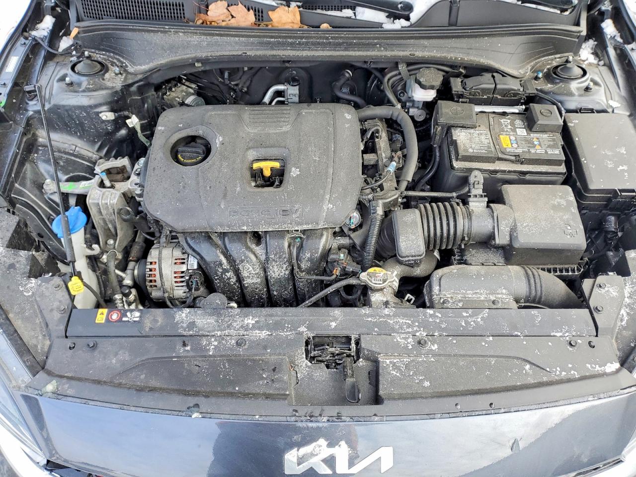2023 KIA FORTE GT LINE photo 11