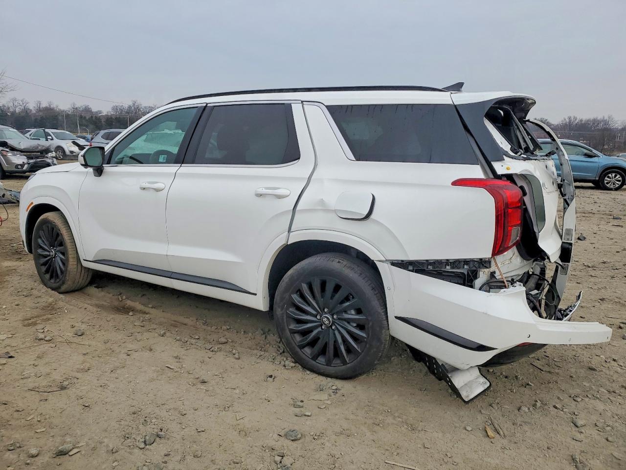 2024 HYUNDAI PALISADE CALLIGRAPHY photo 2