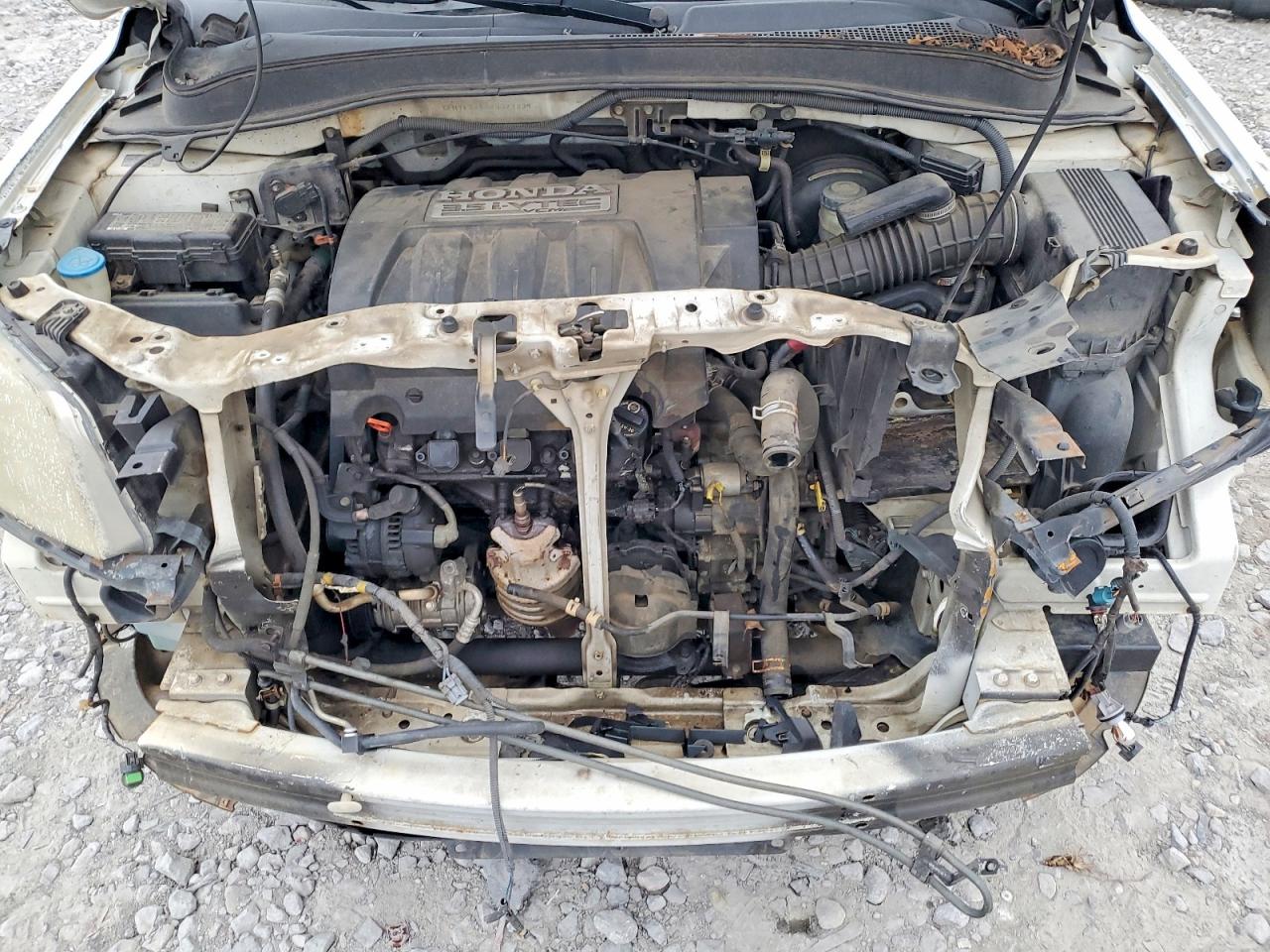 2008 HONDA PILOT EX photo 12