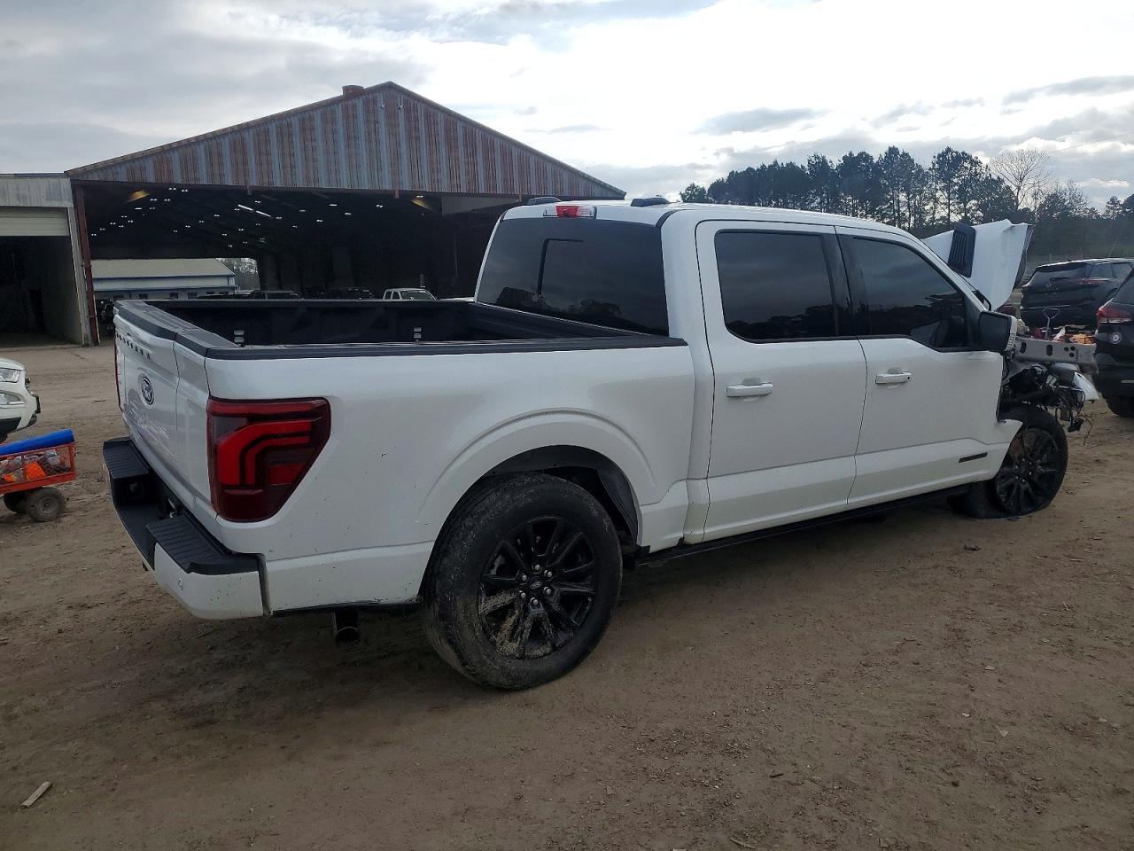 2024 FORD F150 PLATINUM photo 3