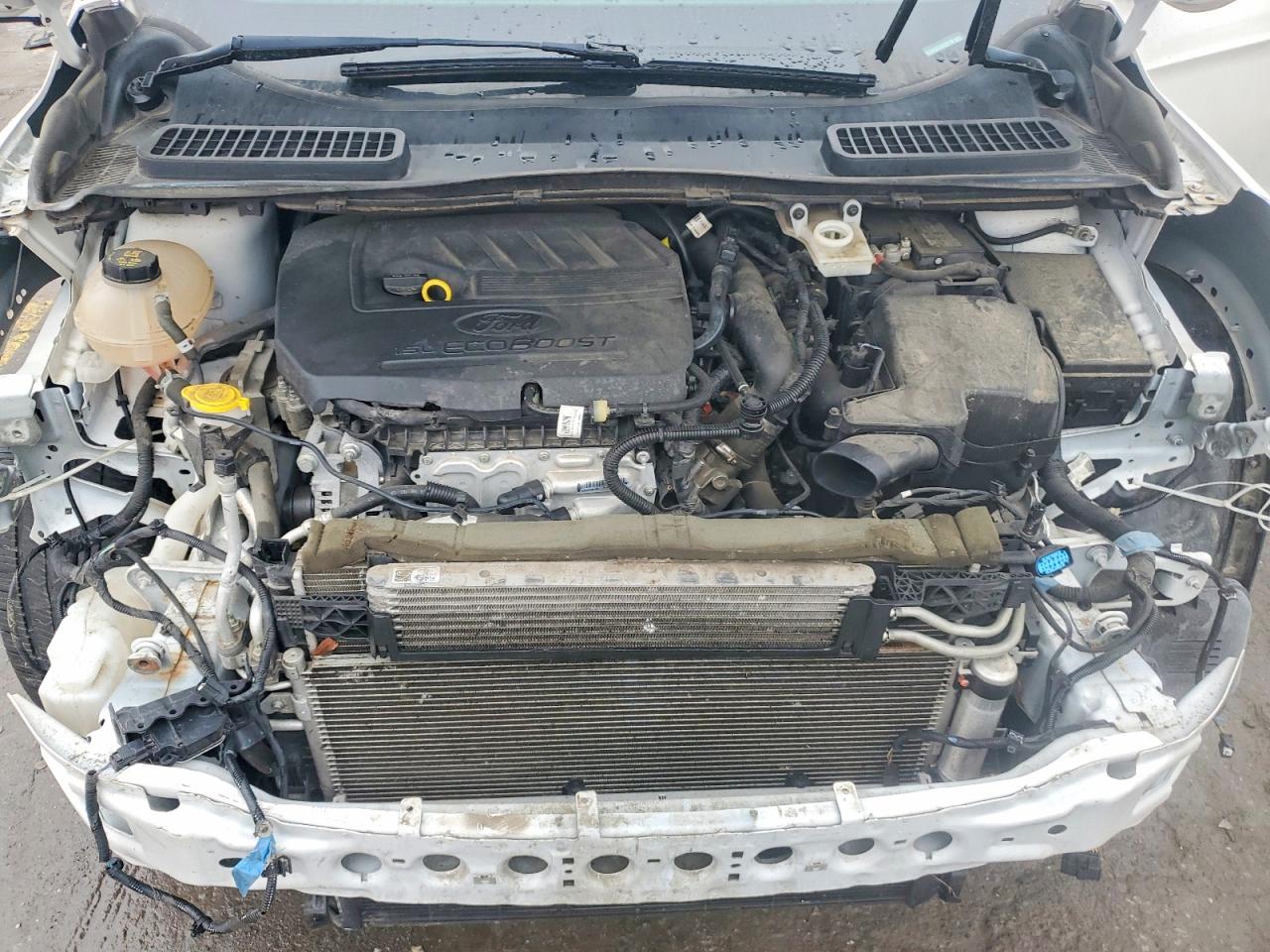 2018 FORD ESCAPE SE photo 12