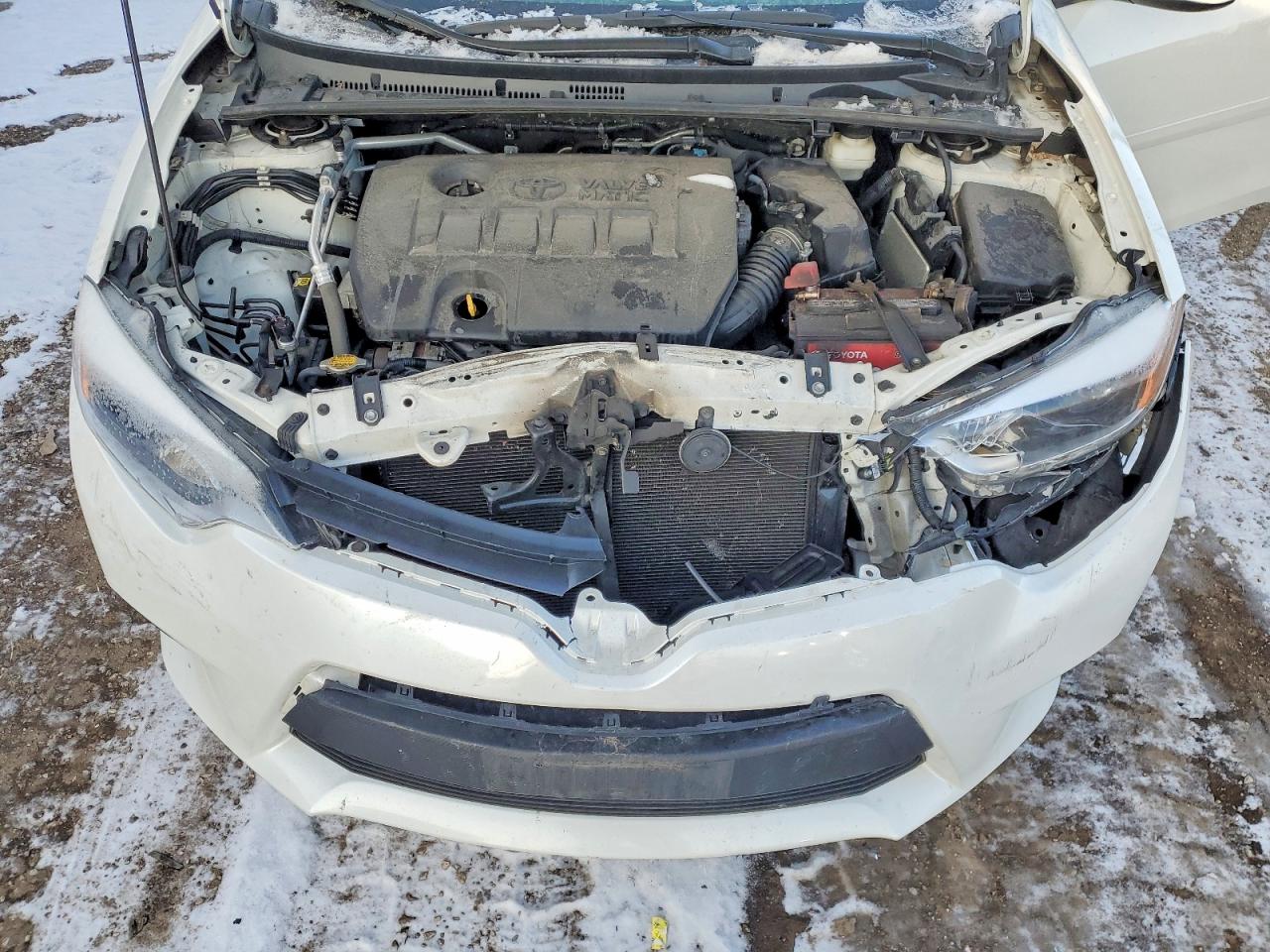 2014 TOYOTA COROLLA ECO photo 11