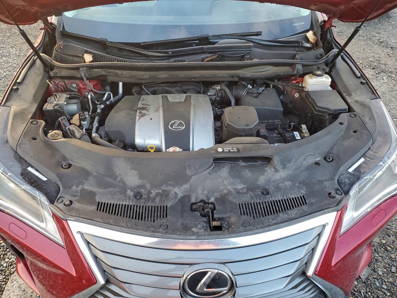 2018 LEXUS RX 350 BASE photo 12