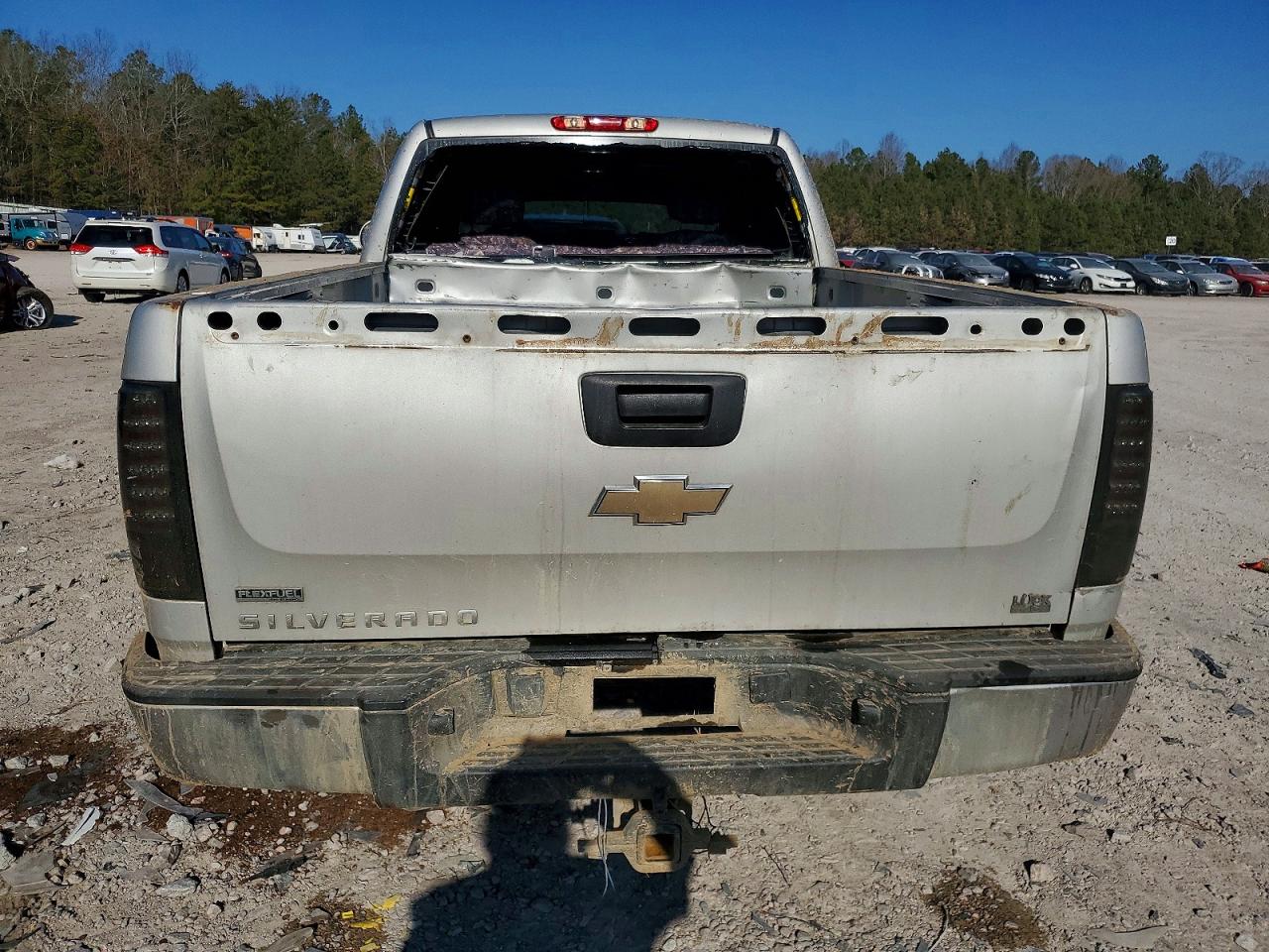 2010 CHEVROLET SILVERADO K1500 LS photo 6