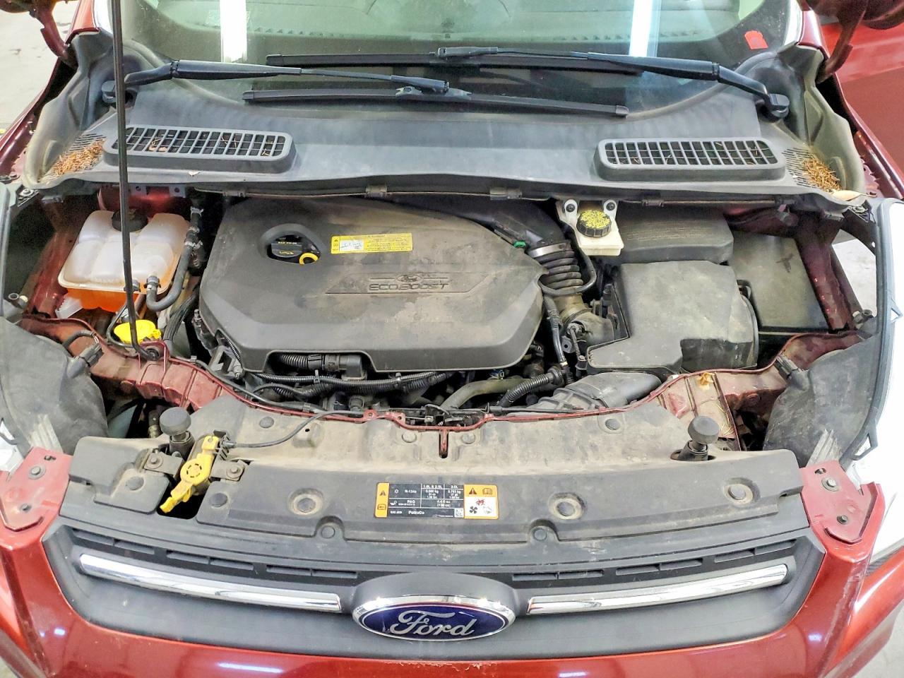 2014 FORD ESCAPE SE photo 12