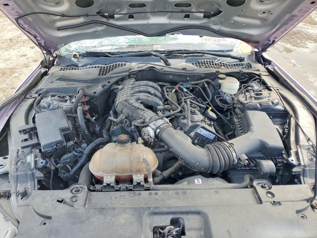 2015 FORD MUSTANG photo 11
