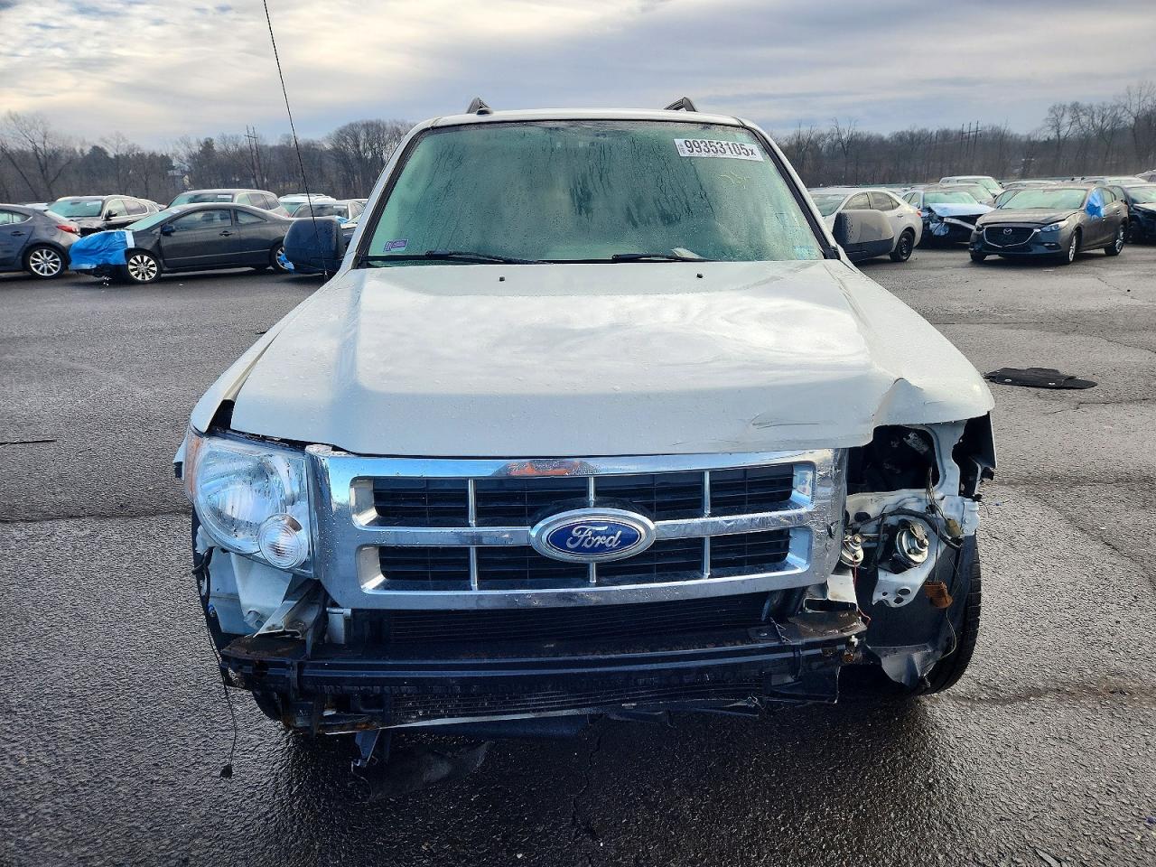 2010 FORD ESCAPE XLT photo 5