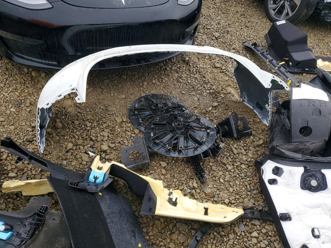 2021 TESLA MODEL Y photo 12