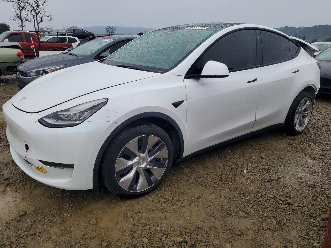 2021 TESLA MODEL Y