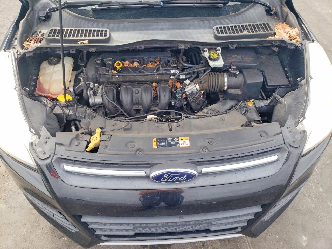 2015 FORD ESCAPE SE photo 12