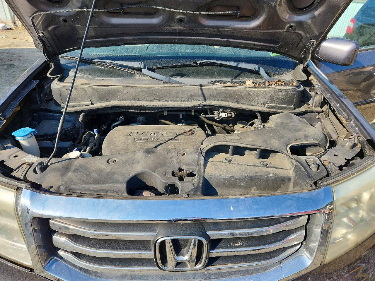 2015 HONDA PILOT SE photo 12