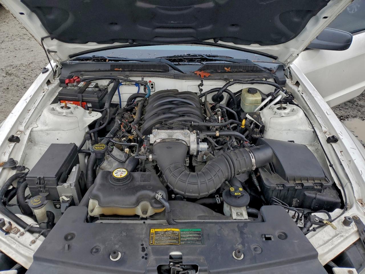 2006 FORD MUSTANG GT photo 11