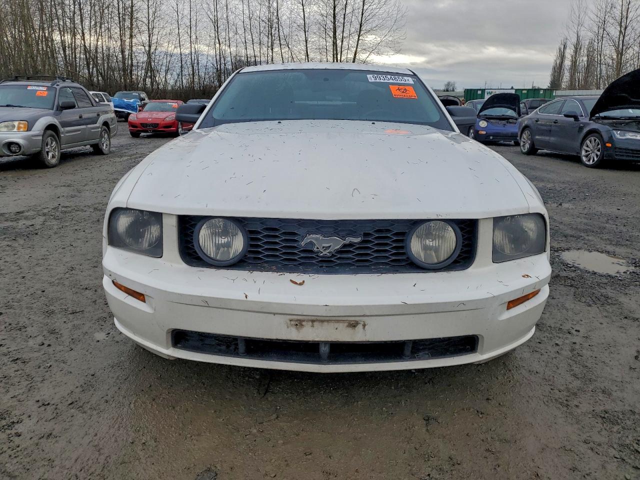 2006 FORD MUSTANG GT photo 5