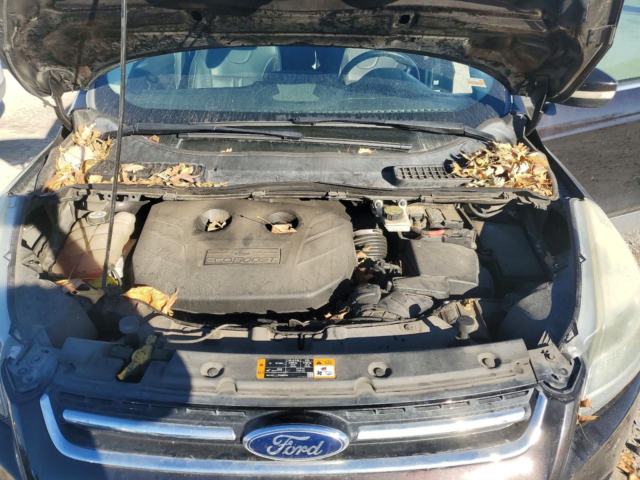 2013 FORD ESCAPE TITANIUM photo 12