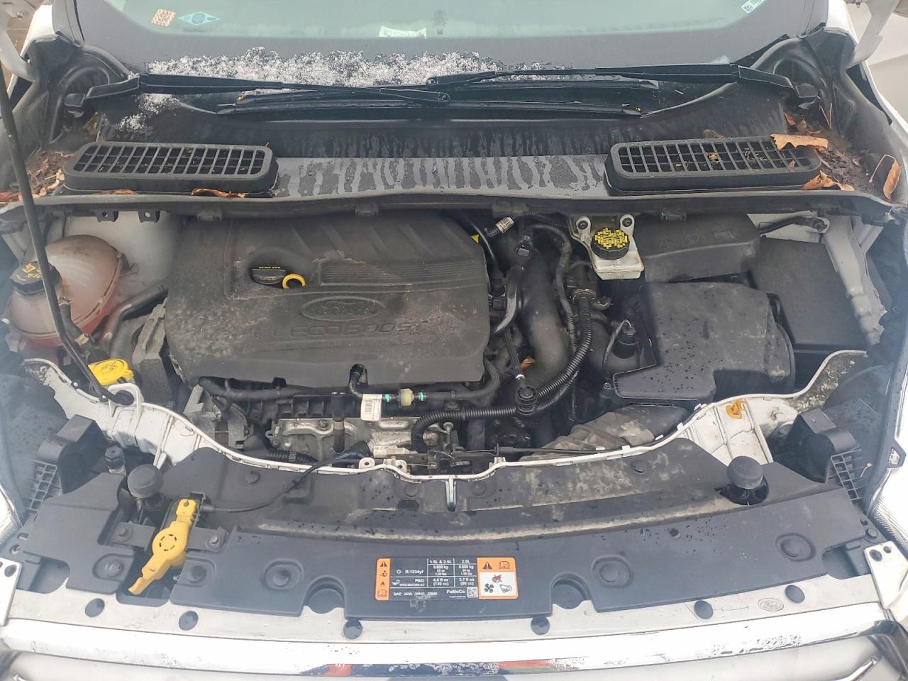 2017 FORD ESCAPE SE photo 12