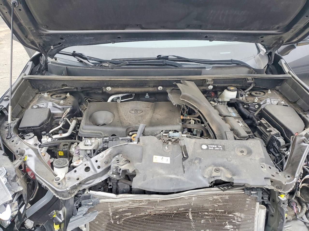2021 TOYOTA RAV4 LE photo 12