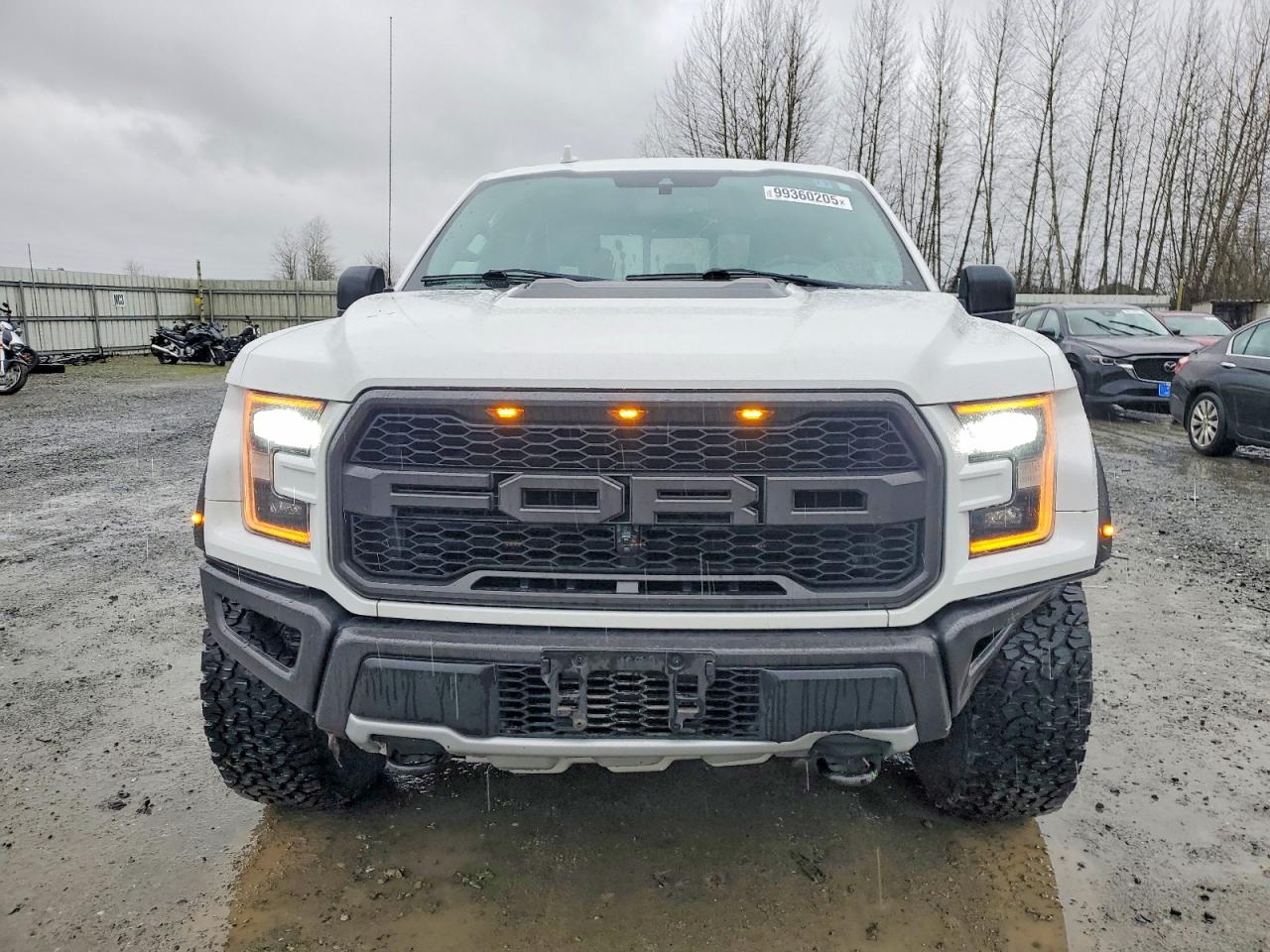 2020 FORD F150 RAPTOR photo 5