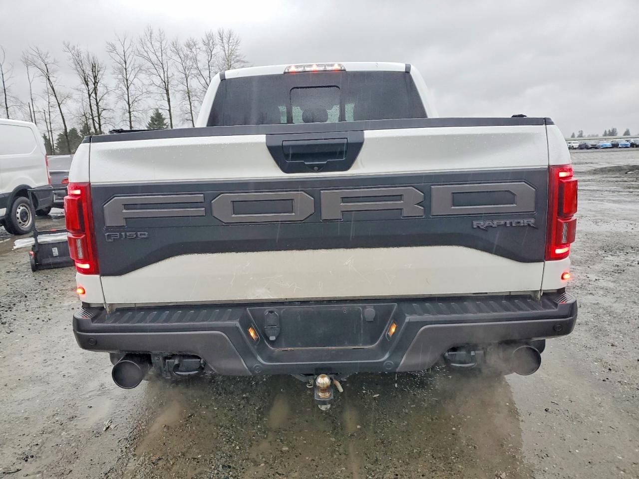 2020 FORD F150 RAPTOR photo 6