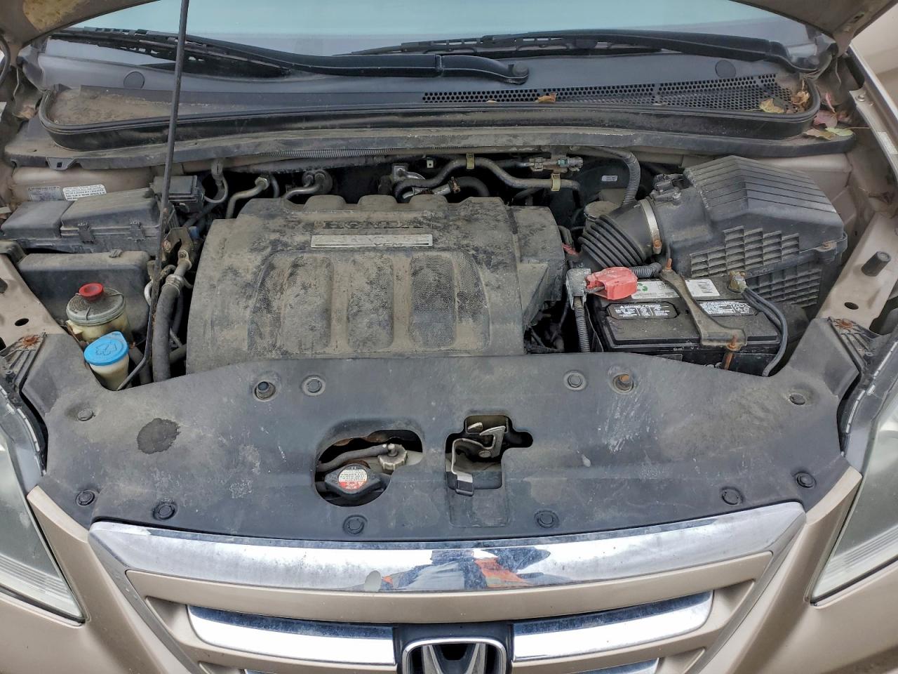 2007 HONDA ODYSSEY EXL photo 12