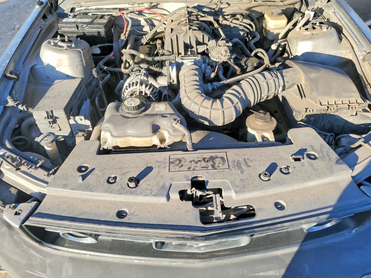 2008 FORD MUSTANG photo 11