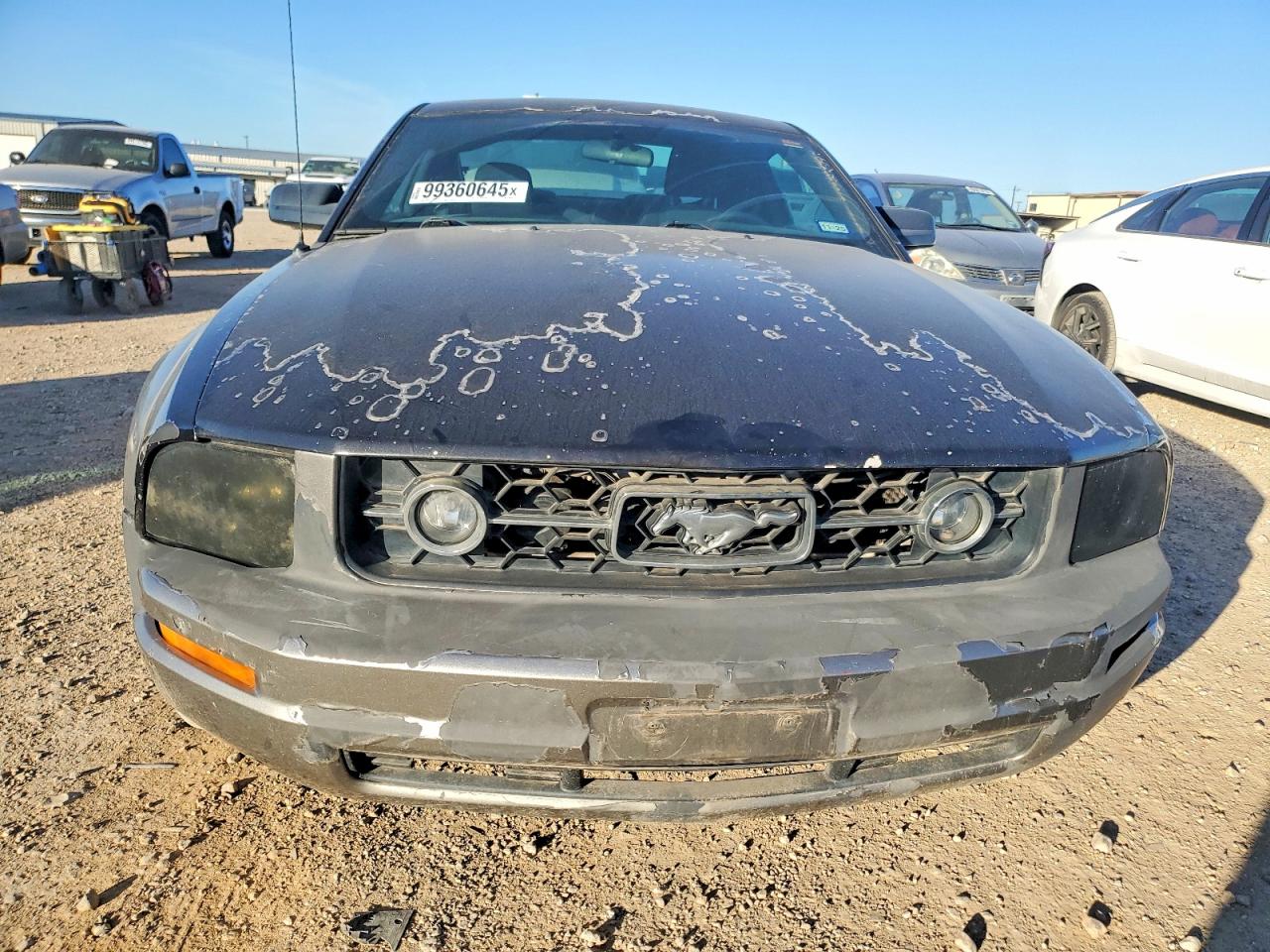 2008 FORD MUSTANG photo 5