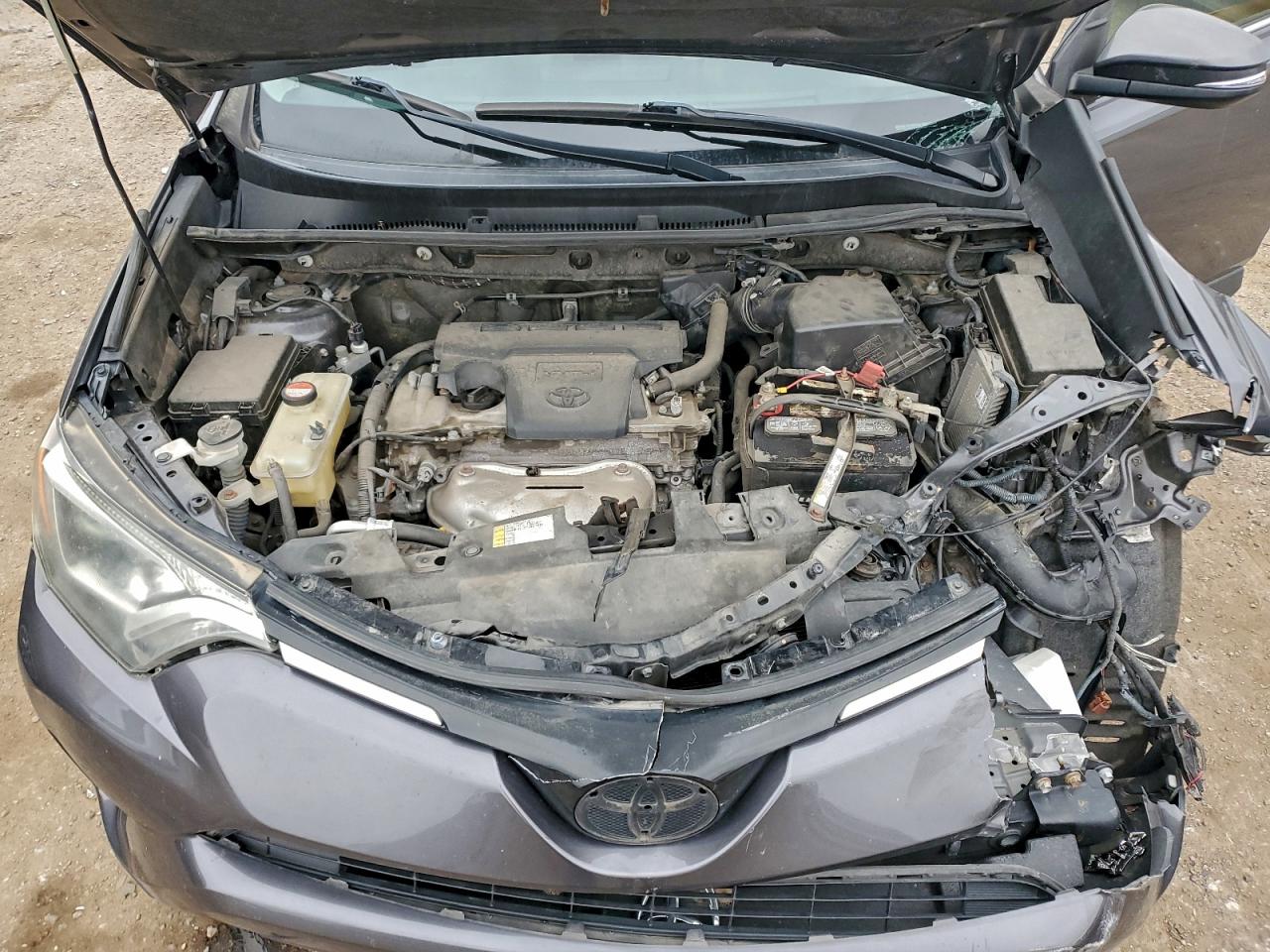 2016 TOYOTA RAV4 XLE photo 11