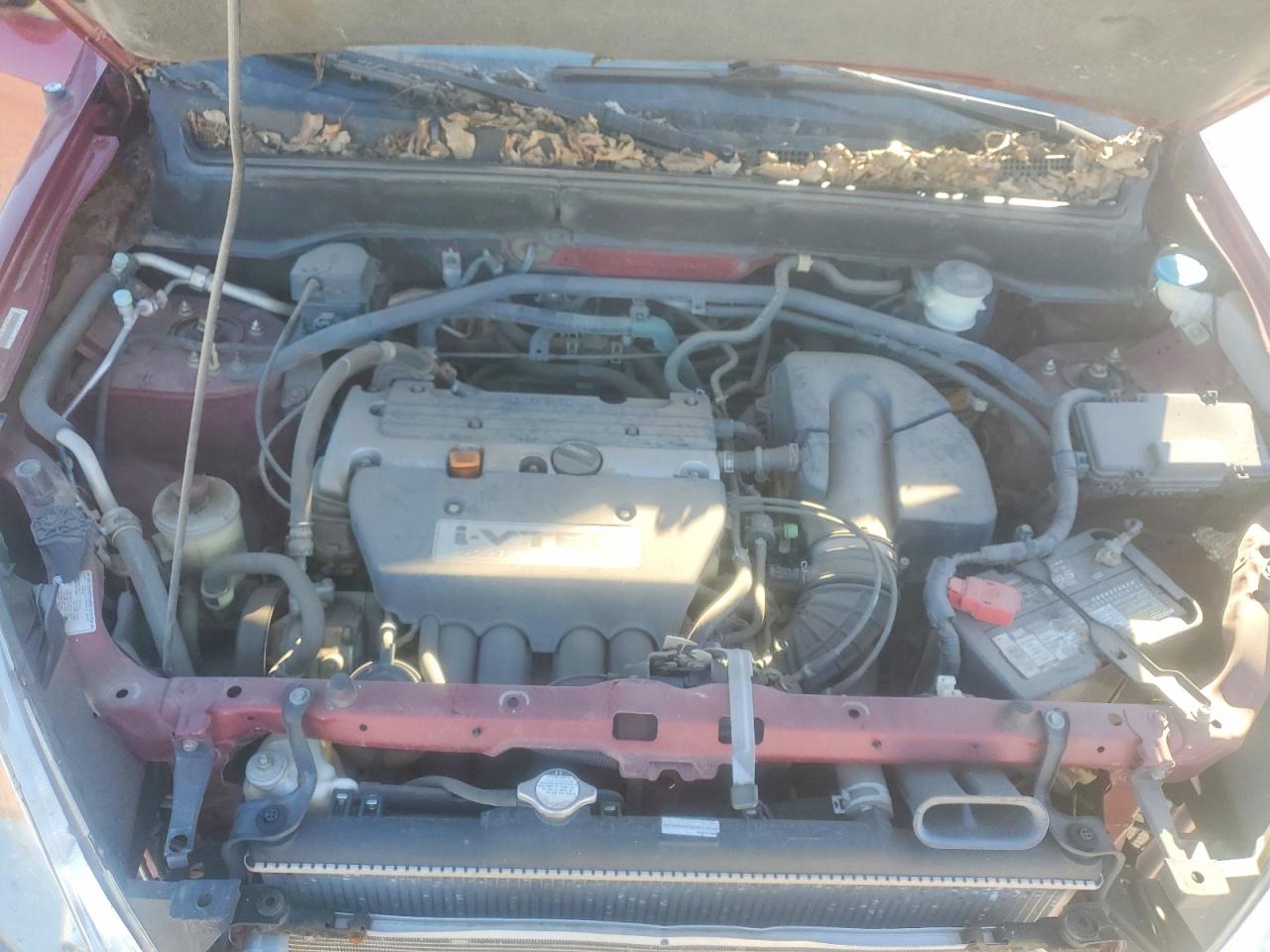 2004 HONDA CR-V LX photo 11