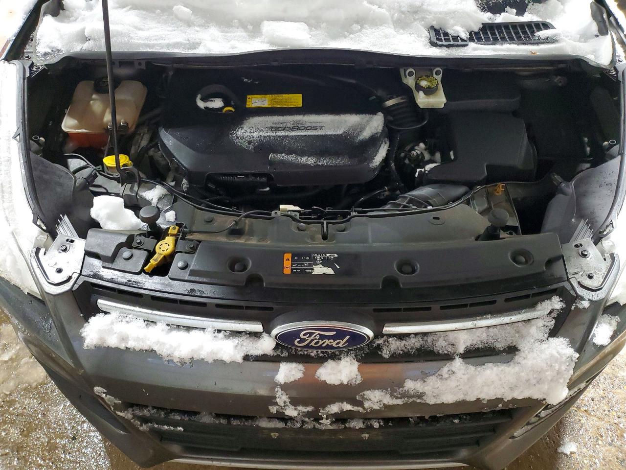 2015 FORD ESCAPE SE photo 12