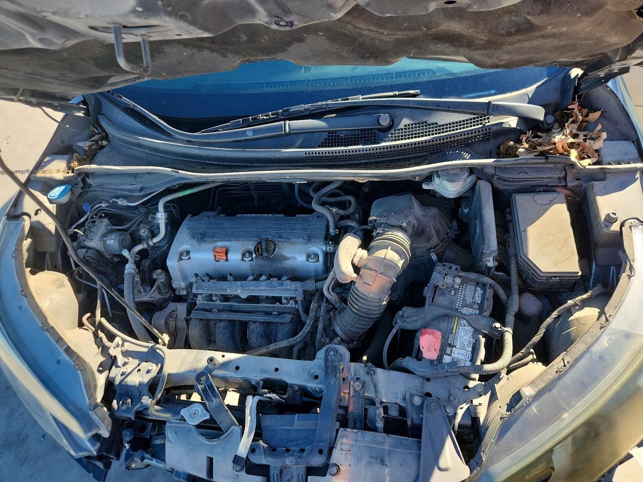 2014 HONDA CR-V EX photo 11