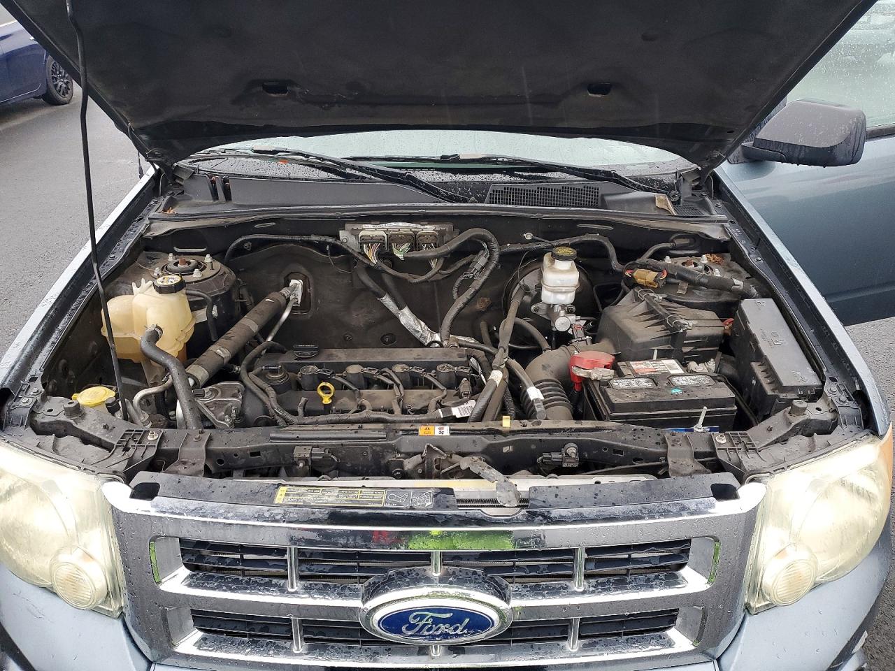 2010 FORD ESCAPE XLT photo 12