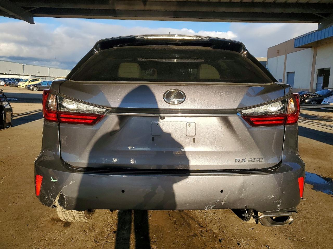 2019 LEXUS RX 350 BASE photo 6