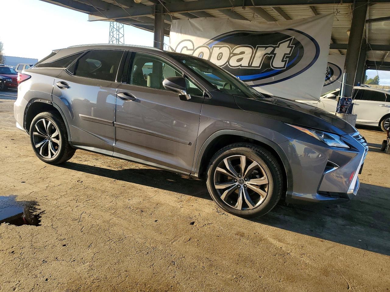 2019 LEXUS RX 350 BASE photo 4