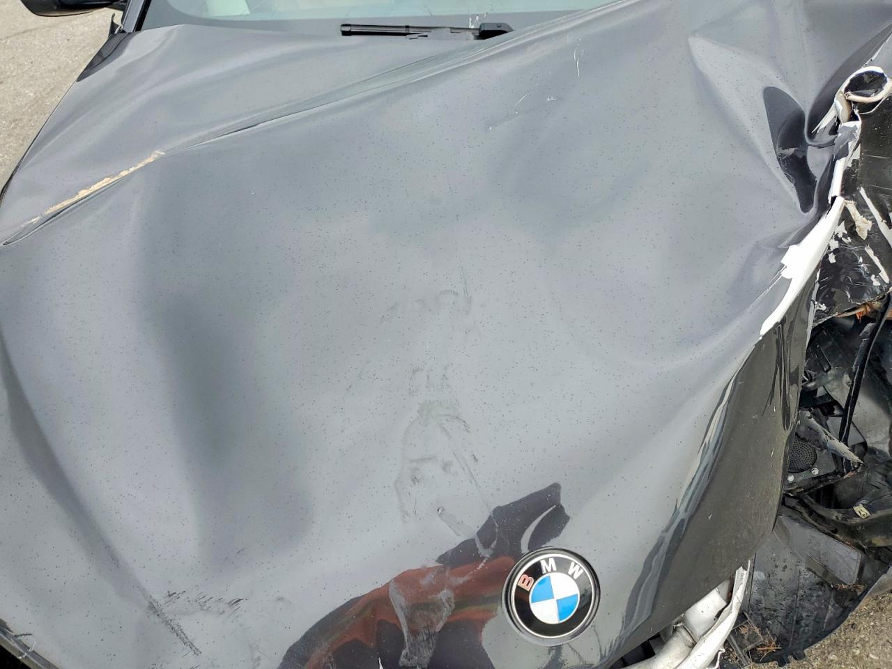 2019 BMW 530E photo 11