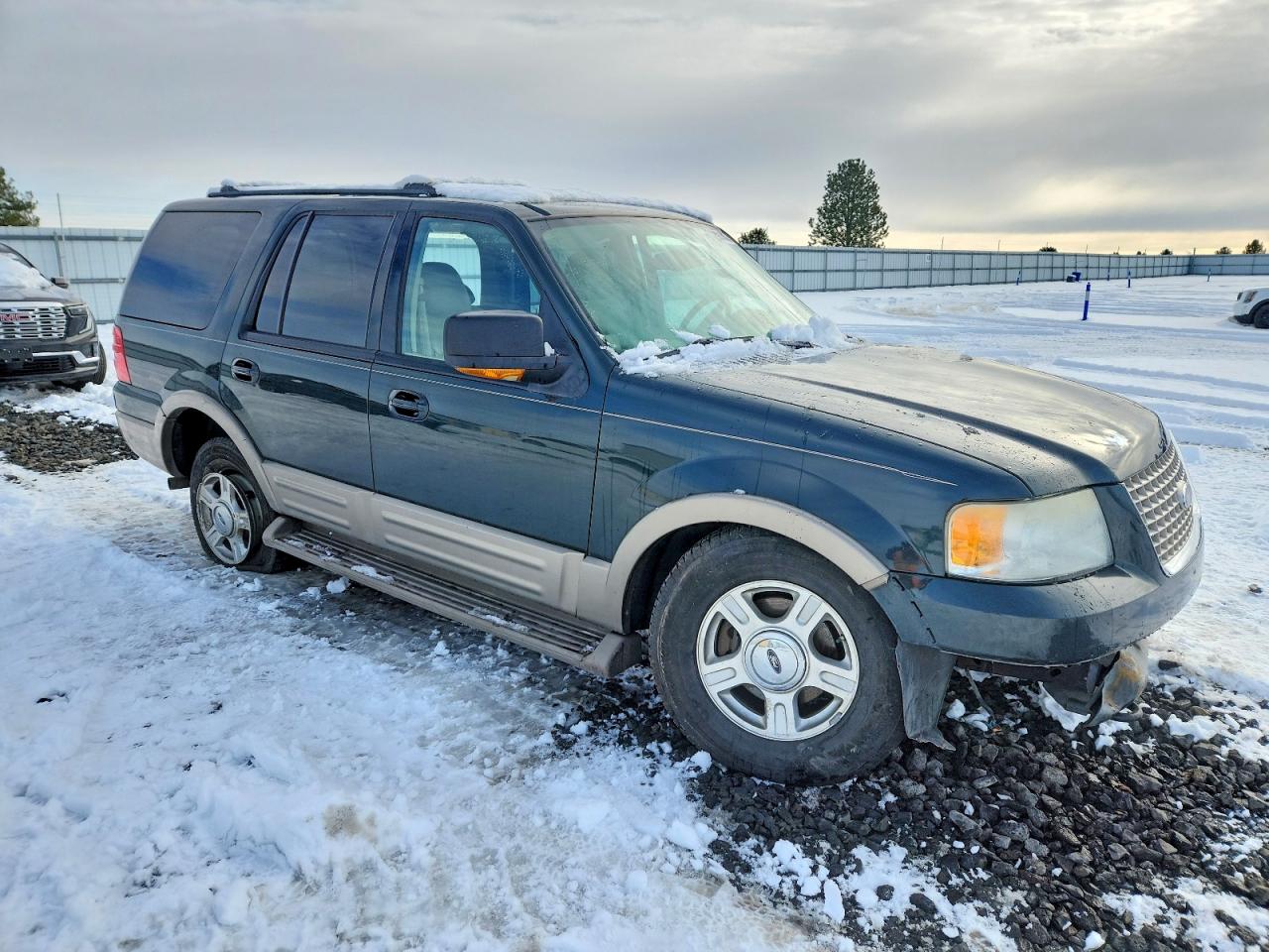2004 FORD EXPEDITION EDDIE BAUER photo 4