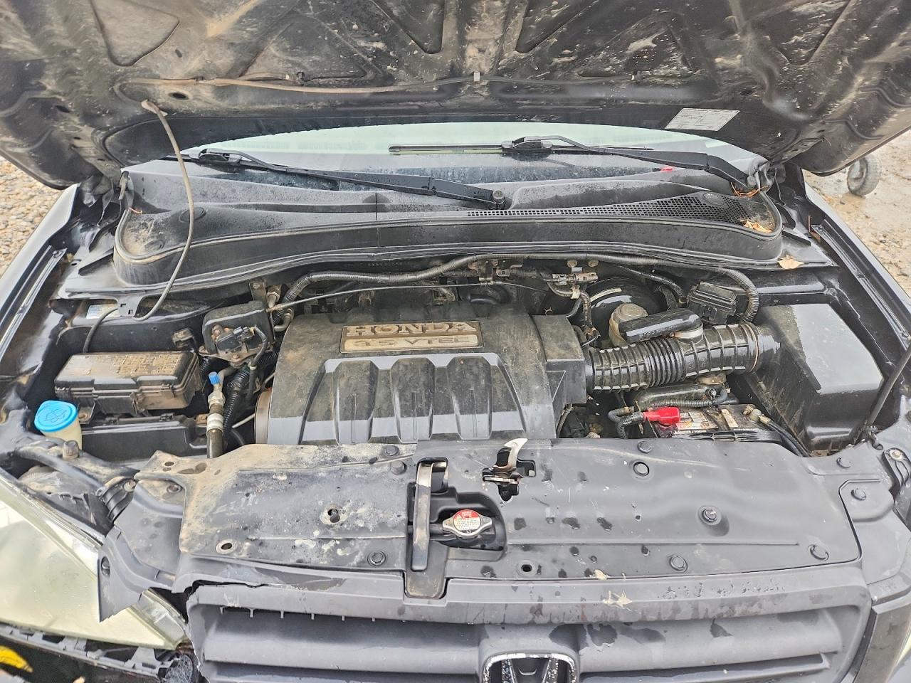 2005 HONDA PILOT EXL photo 12