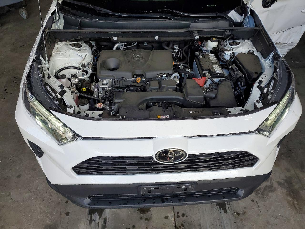 2024 TOYOTA RAV4 XLE photo 12