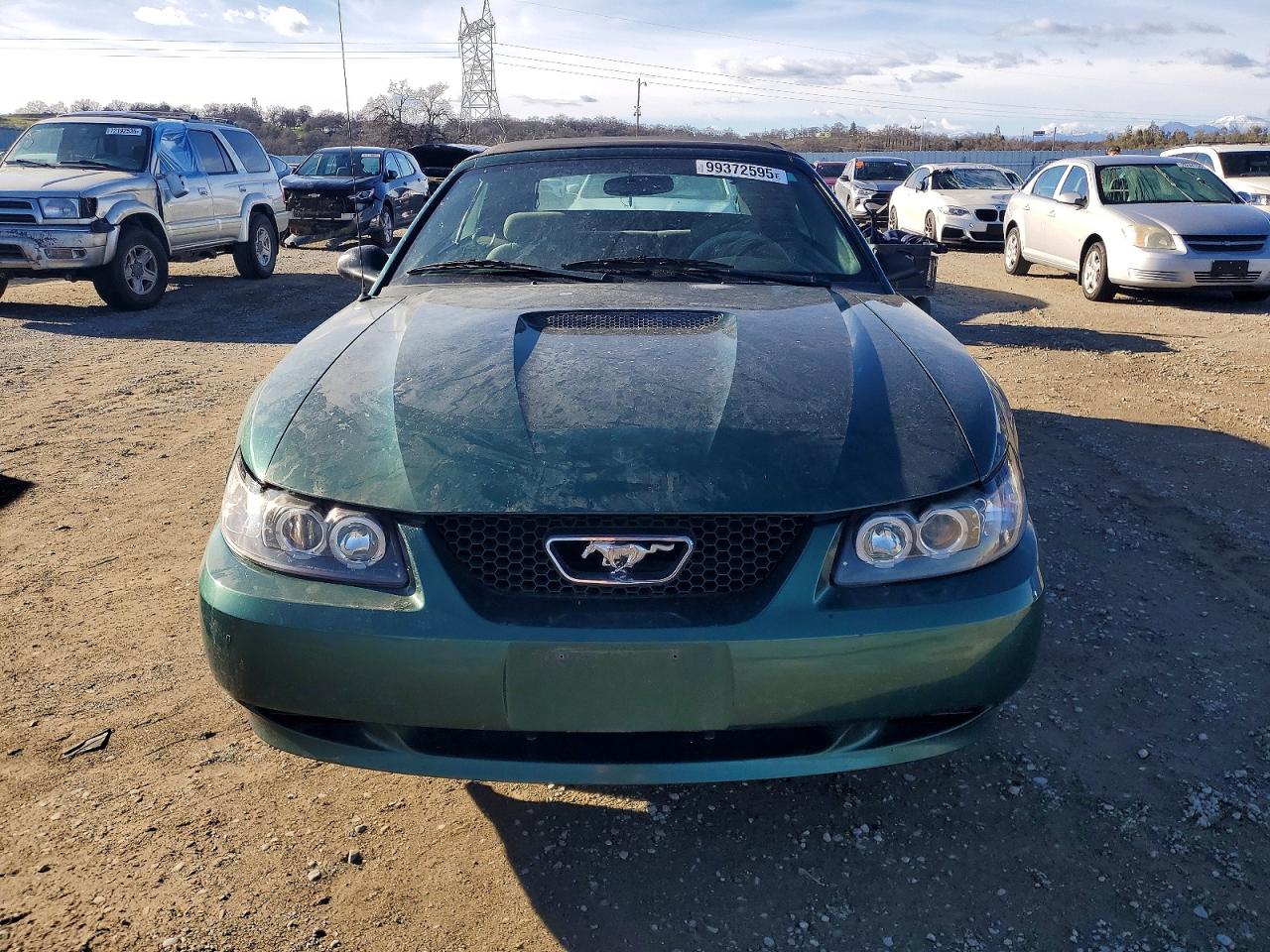 2001 FORD MUSTANG photo 13