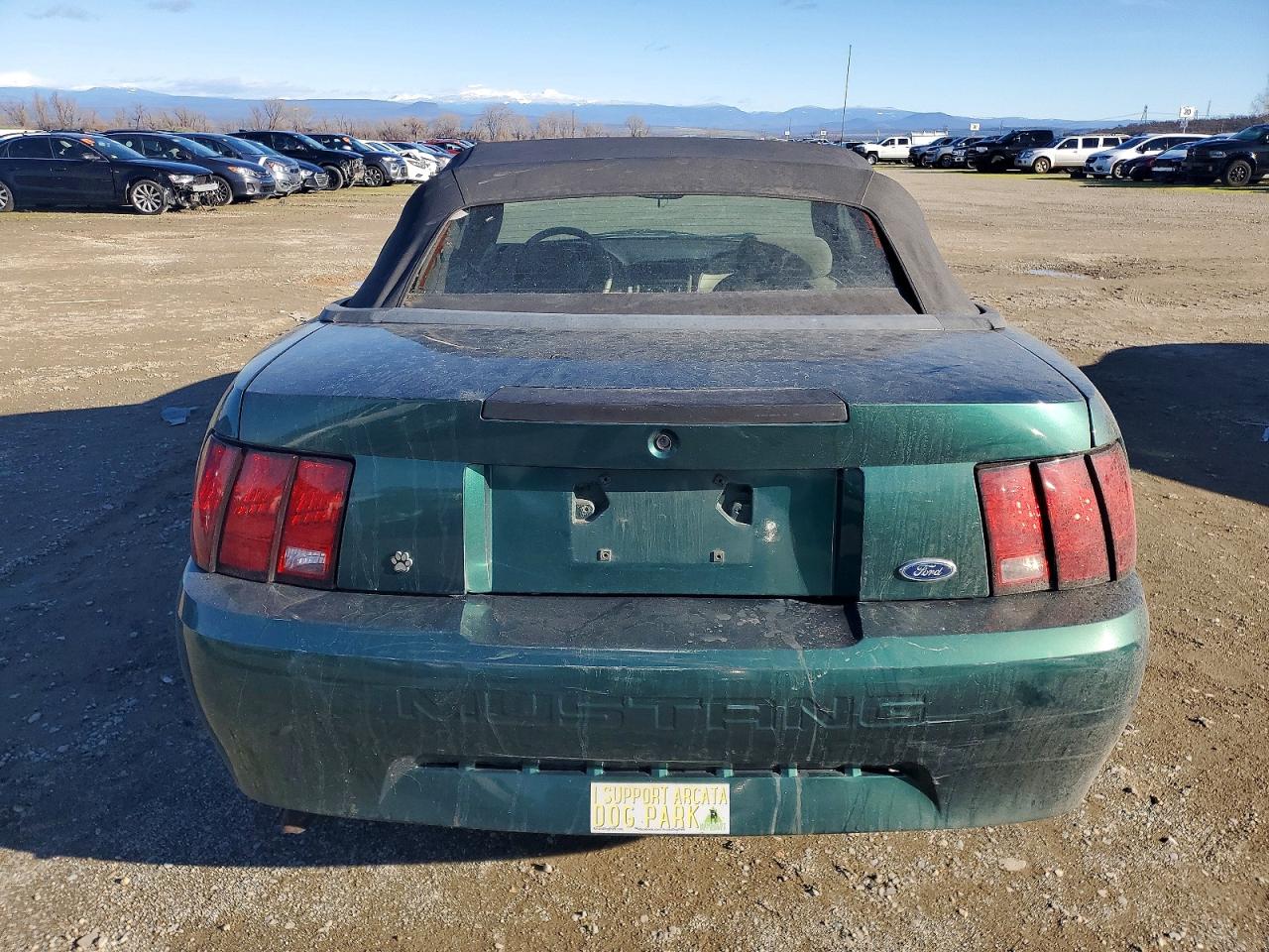 2001 FORD MUSTANG photo 16