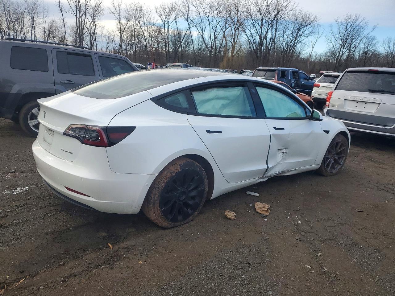 2021 TESLA MODEL 3 photo 3
