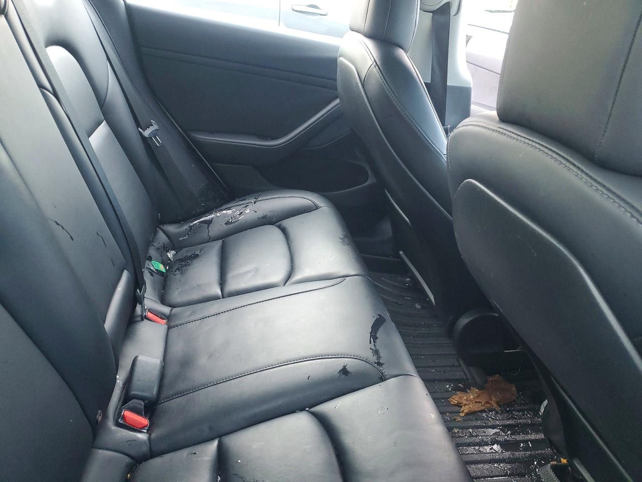 2021 TESLA MODEL 3 photo 10