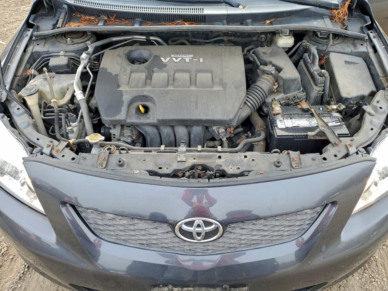 2010 TOYOTA COROLLA LE photo 11