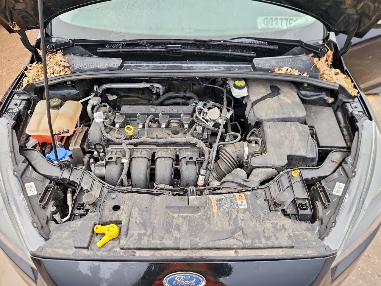 2018 FORD FOCUS SEL photo 11