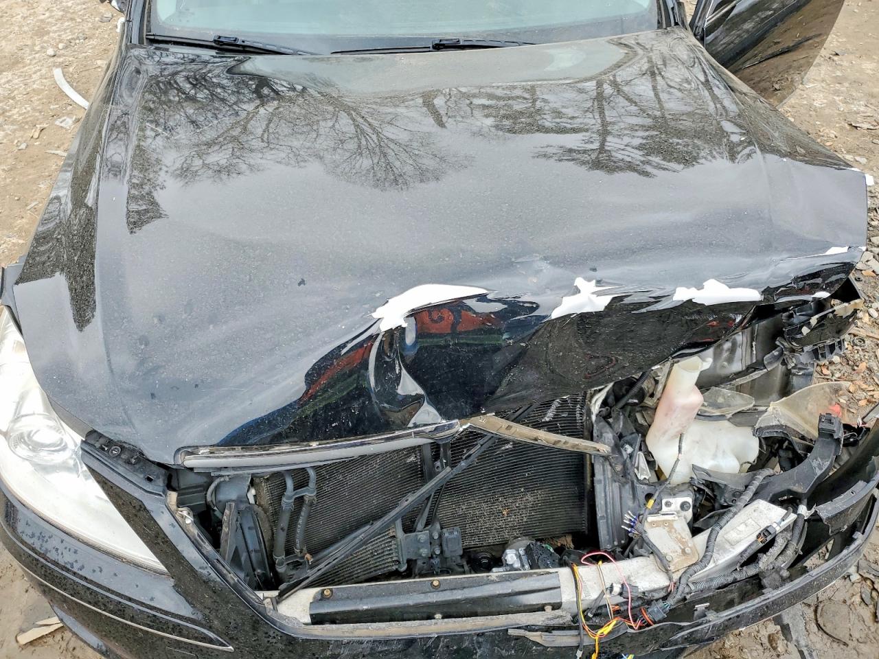 2011 HYUNDAI GENESIS 4.6L photo 11