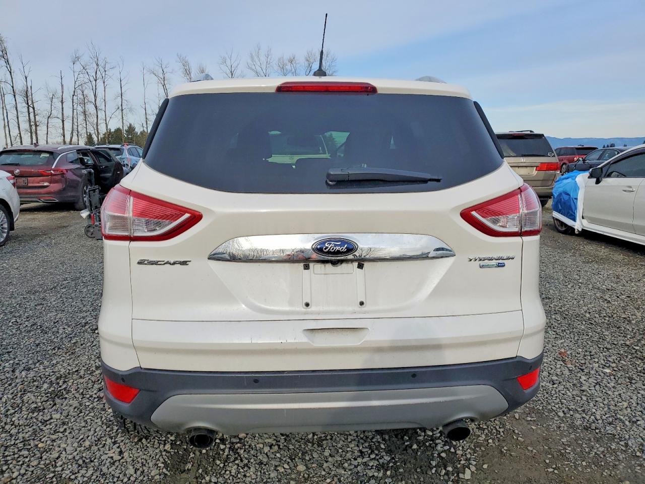 2014 FORD ESCAPE TITANIUM photo 6