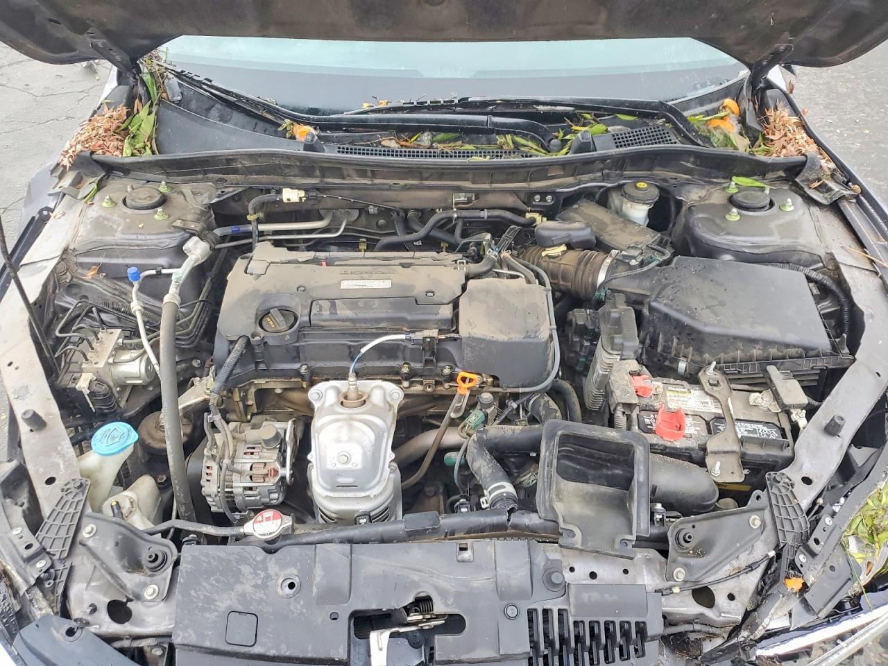 2017 HONDA ACCORD LX photo 11