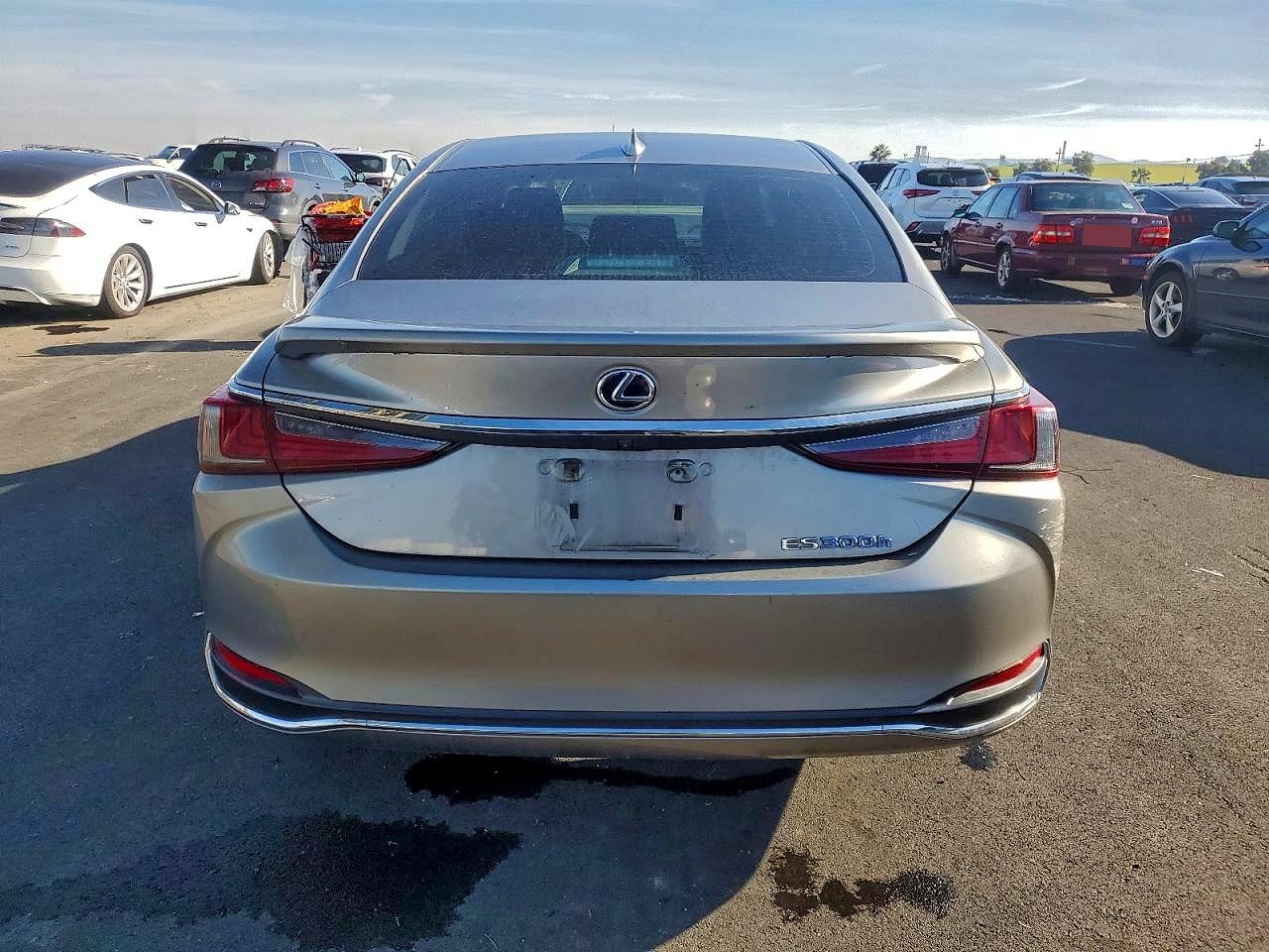 2020 LEXUS ES 300H BASE photo 11