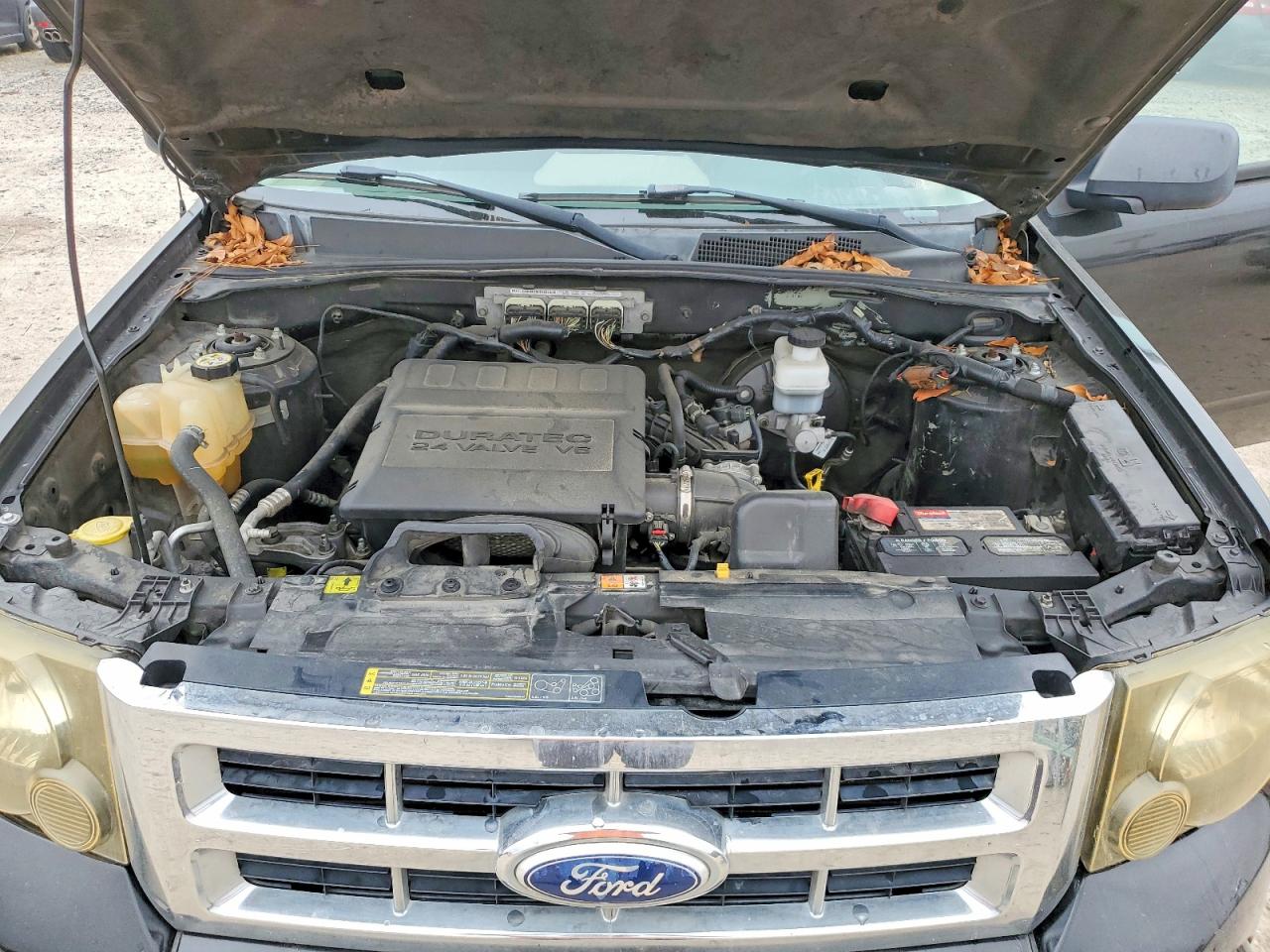 2010 FORD ESCAPE XLT photo 12