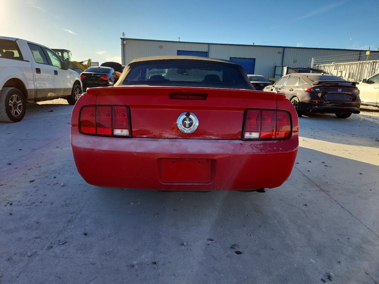 2008 FORD MUSTANG photo 6