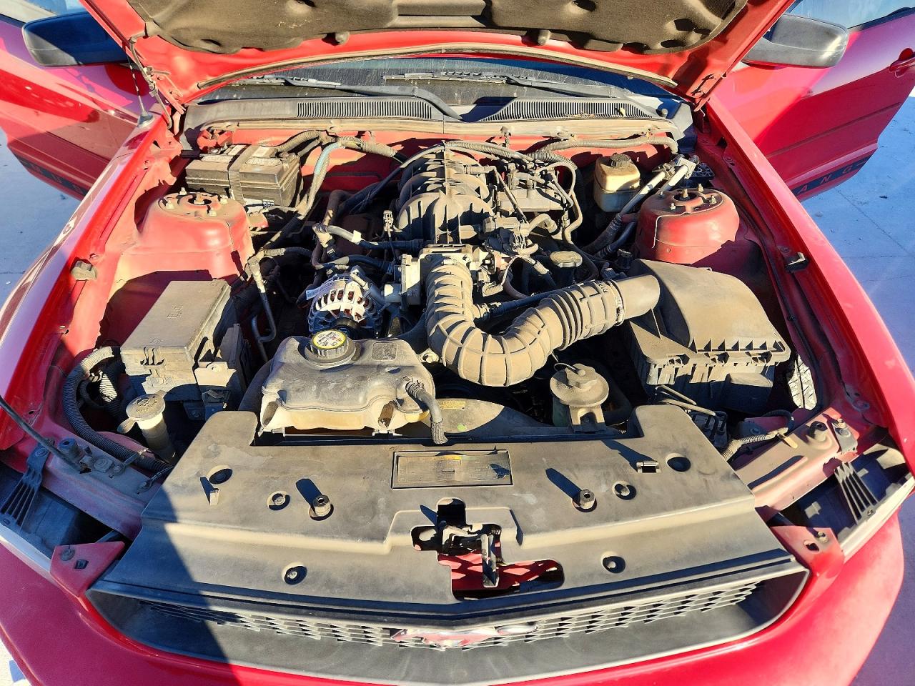 2008 FORD MUSTANG photo 11